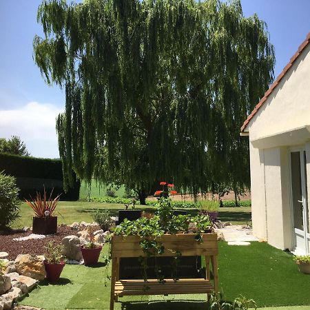 Domaine De La Vigne Bed and Breakfast Cadalen Exterior foto