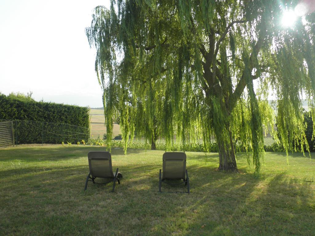 Domaine De La Vigne Bed and Breakfast Cadalen Exterior foto